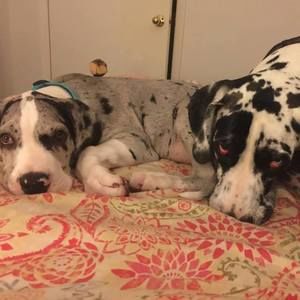 Meet your Posher, Christian